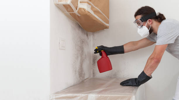 Professional Crawl Space Mold Remediation technician working in Schoolcraft, MI