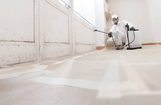 24/7 Emergency Crawl Space Mold Remediation experts in Schoolcraft, MI
