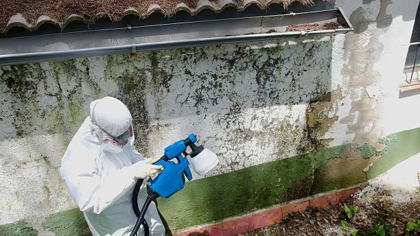Top rated local Crawl Space Mold Remediation specialists in Schoolcraft, MI